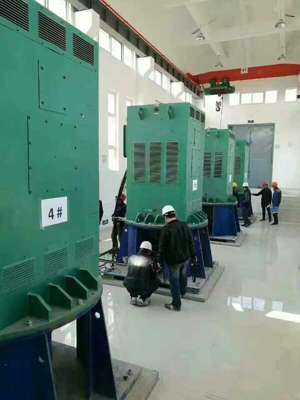宜章某污水处理厂使用我厂的立式高压电机安装现场