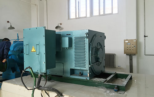 宜章某水电站工程主水泵使用我公司高压电机